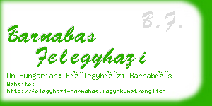 barnabas felegyhazi business card